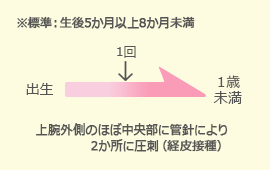 BCGスケジュール図