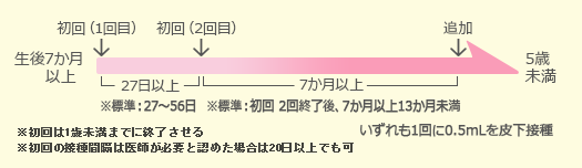 ヒブスケジュール図2