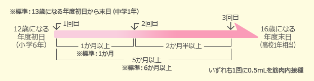 ヒトパピローマスケジュール図1