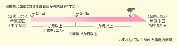 ヒトパピローマスケジュール図2