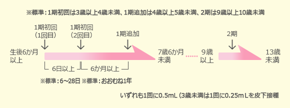 日本脳炎スケジュール図